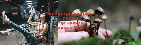 гидропоника Верхнеуральск