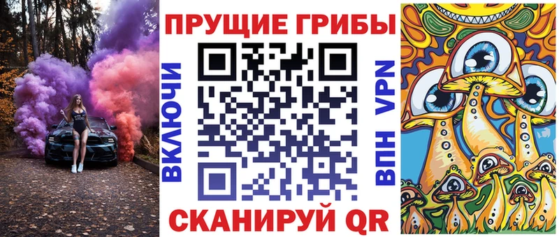 Псилоцибиновые грибы Cubensis  это телеграм  Тамбов 